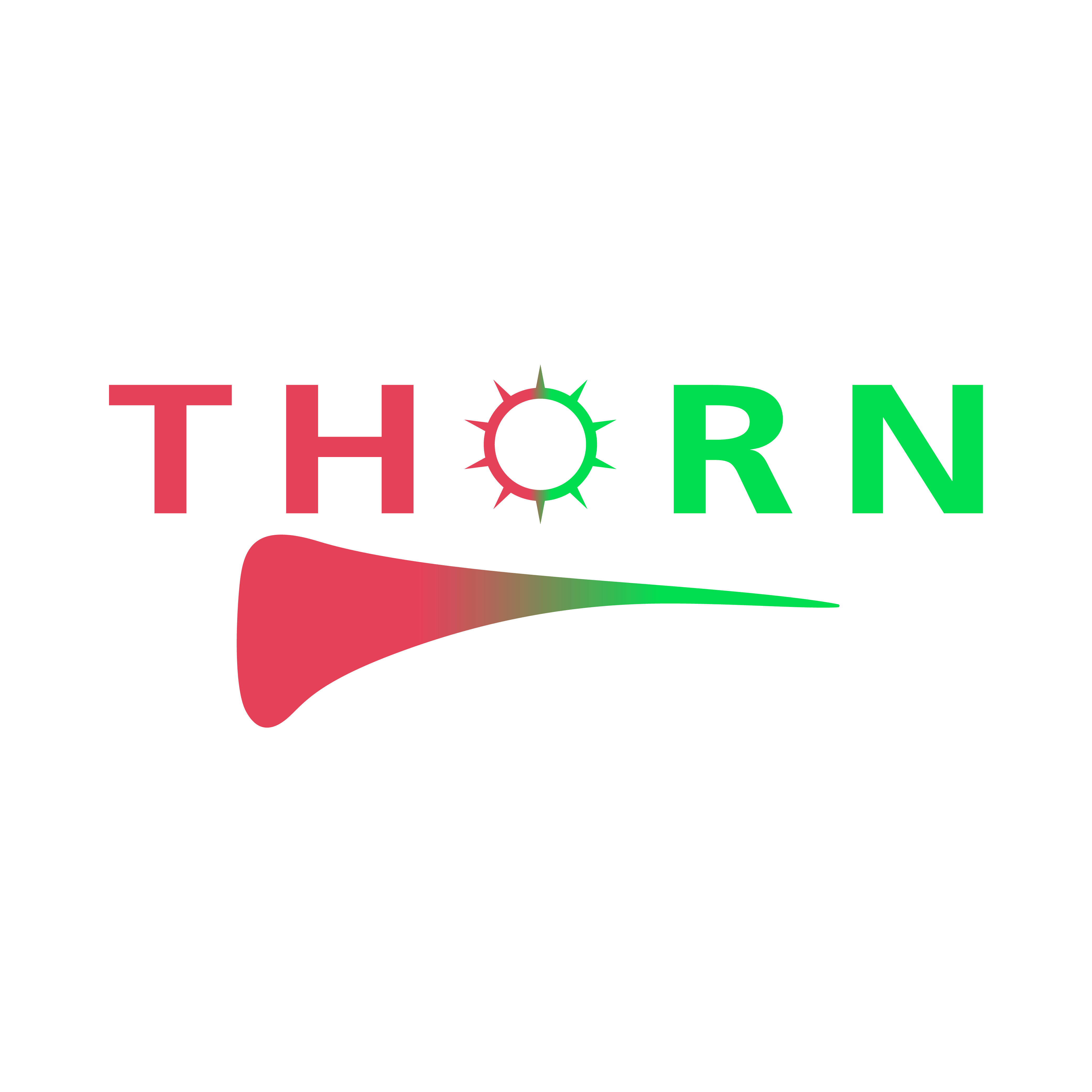 Contact Thorn Services